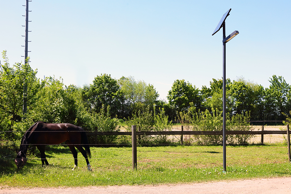 photinus solar lights