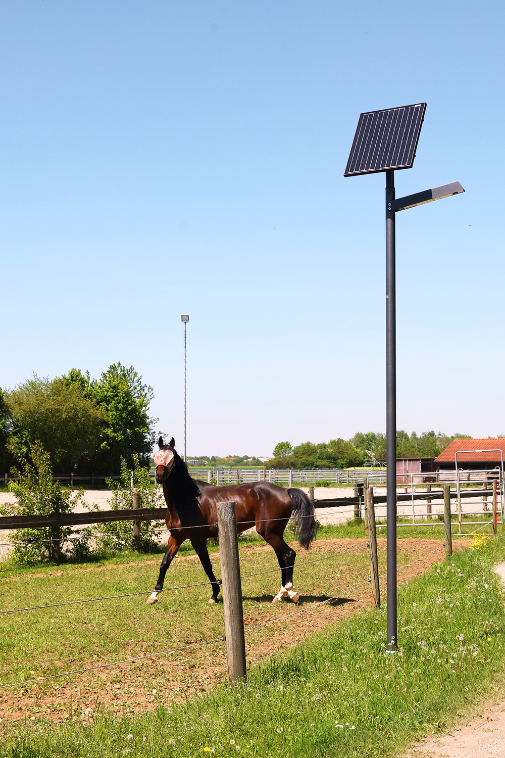 photinus solar lights